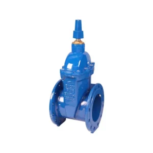 Gate Valves – Resilient Seated